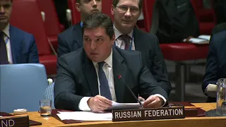 В.К.Сафронков на заседании СБ ООН по гуманитарной ситуации в Сирии