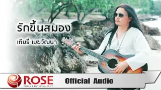 รักขึ้นสมอง -  เทียรี่ เมฆวัฒนา (Official Audio)