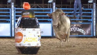 😮 Palhaço GAROTO JUCA foi ATR0PELAD0 por um TOURO