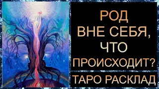 РОД ВНЕ СЕБЯ, ЧТО ПРОИСХОДИТ? #тарорасклад #таротрансформация