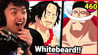 Whitebeard ENTERS Marine Ford (One Piece Reaction)