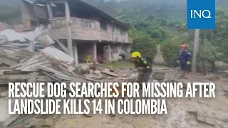 Rescue dog searches for missing after landslide kills 14 in Colombia