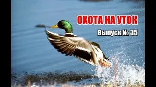 Охота на уток | Выпуск №35 (UKR)