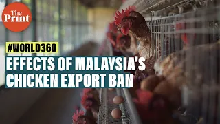 How the Ukraine war is causing a chicken shortage crisis in Malaysia, Singapore