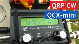 QRP CW на QCX-mini // 23 августа 2022 года