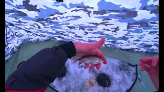 Зимняя рыбалка в Карабаше