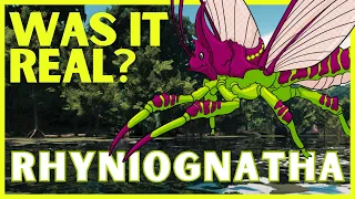 Was It Real? Ark Survival - Rhyniognatha