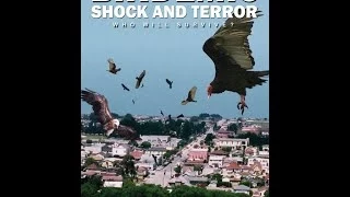 IMDb Bottom 100: "Birdemic: Shock and Terror" Review