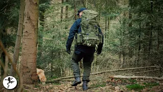 Tygrys tasmański i głębia lasu .  Vlog 🐸 90