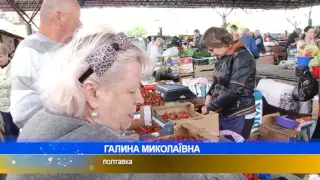 Золота черешня: майже п’ятдесят гривень за кілограм. Винні дощі