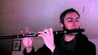 Cooley's Reel - Irish Flute - slow/fast