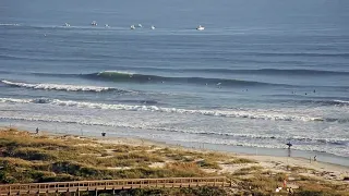 Fun Surf at the Shark Bite Capital of the World