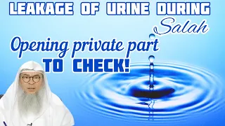 Leakage of urine during prayer Ocd Drops after istinja Opening private part to check Assim al hakeem
