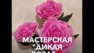 Розовые розы/DIY/WILD.ROSE_WORKSHOP