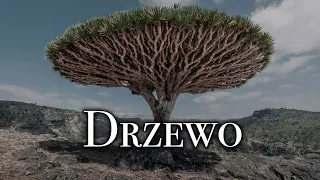 Drzewo(1993) | Wiesław Myśliwski