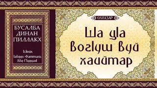 3.Ша цIа вогIуш вуй хаийтар | Олхазар.