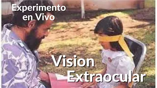 Experimento de Vision Extraocular (Dr. Jacobo Grinberg)