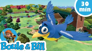 🧐Boule et Bill découvrent de drôles d'oiseaux !🐦 - Nouvelle Compilation Boule et Bill FR