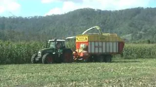 First time chopping corn Fendt, Pottinger and Jag!