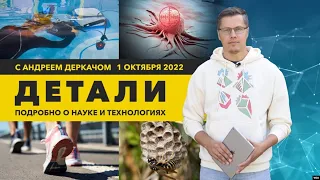 «Фабрики» по лечению рака и камера, подзаряжающаяся от звука | «Детали»