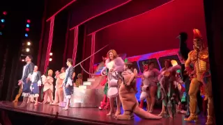 Curtain call, closing show, Priscilla Queen of the Desert Broadway