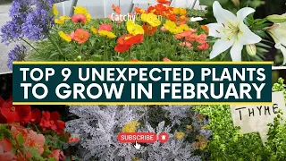 This February, Grow These 9 BEST Unusual Plants 🌷🌸🌺 // Gardening Ideas