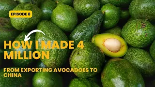 How to export farm crops to China. Avocado farming. How I made 4 million from Avocadoes #export