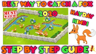 🦊BEST WAY TO CATCH A FOX HAYDAY 2020 ! 100% RESULT ! HAYDAY INDIA.