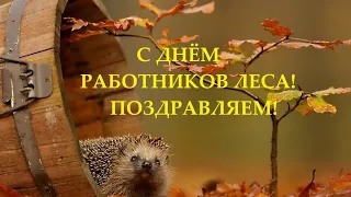 С днём работников леса и лесоперерабатывающей продукции! Музыкальное поздравление  работникам леса!