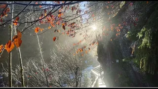 Wolfsschlucht 🤘                           Traumpfad Höhlen u. Schluchtensteig 📈