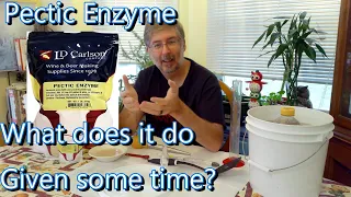 Pectic Enzyme - What does it do given some time
