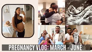 PREGNANCY VLOG | FINDING OUT, TELLING FAM & FRIENDS, 1ST TRIMESTER WOES, GENDER REVEAL, & MORE!!