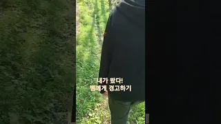 산책할 때 뱀 안 만나는 법