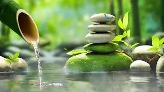 Relaxing Sleep Music + Insomnia: Stress Relief, Relax, Sleep, Spa & Meditation Music, Bamboo