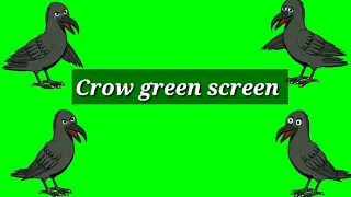 Crow green screen । flying crow । talking crow, bird flying, crow flying , no copyright ।।