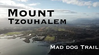 Mount Tzouhalem, Mad Dog Trail, Vancouver Island Hike.