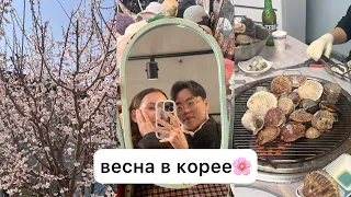 весенний влог🌸🇰🇷✨кофейни, еда, встречи с друзьями