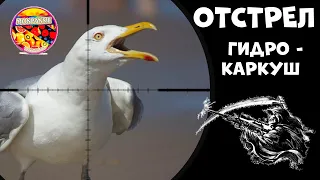 Отстрел Гидро-Каркуш 1 часть. Гидро-Шлепинг с Монпансье. Crow Hunting 2022. Кроухантинг.