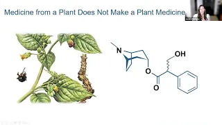 The Science of Cannabinoids