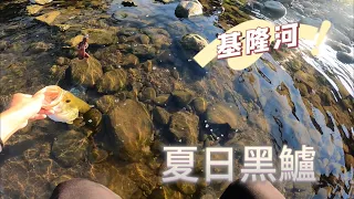 大熱天越來越釣不到河鱸，德州釣組手法分享