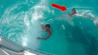 SHARK PRANK WENT REAL!!