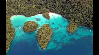 Palau Dive and Snorkel