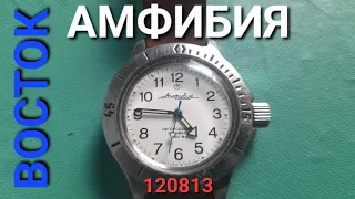 Часы Восток Амфибия 120813. После 1,5 года пользования.