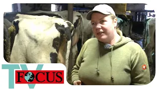 Leidenschaft Landwirtschaft: Zwei Schwestern kämpfen für ihren Bauernhof! | Focus TV Reportage