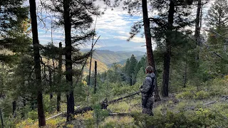 Inside Off Grid Cabin Build: Start to Finish