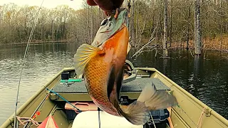 "Catch Tons of Bluegill Before the Storm Hits: Arkansas Bream Fishing"