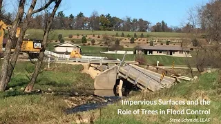 Impervious Surfaces and the Role of Trees in Flood Control