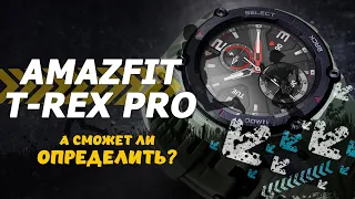 Amazfit T-Rex Pro смогут ли определить тренировку? Определение тренировки