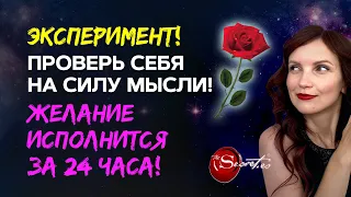 100% доказательство, что мысли материальны! 🔥 Притяни то, что хочешь, за 24 часа!