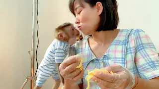 Mokey Puka eats jackfruit with Mom and Khang